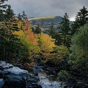 Rhoda Icerman's photo