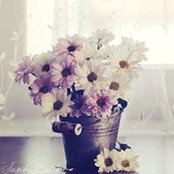 أسماء جابر's photo