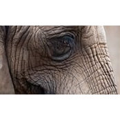 Janice Melcher's photo