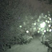 Kacey Young's photo