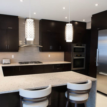 Kitchen Renovation, Flat Panel Cabinets, Stainless Steel Hood, 2013