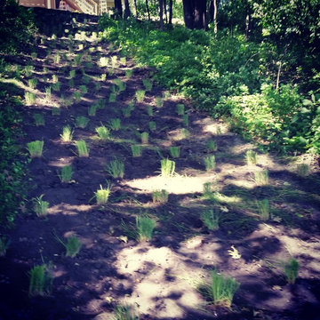 Plant Material