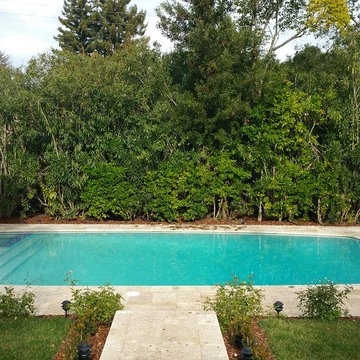 Rectangle Shaped Pools