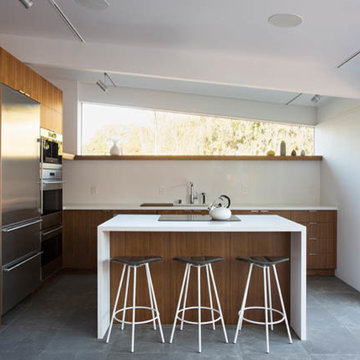 Green Meadow, Palo Alto Eichler renovation