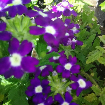 Comstock Landscaping Yard Maintenance & Nursery