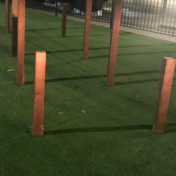 Dog Park