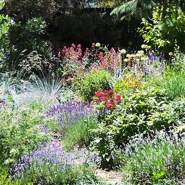 Cottage Garden