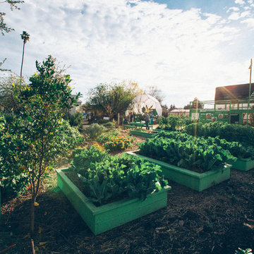 The Ecology Center