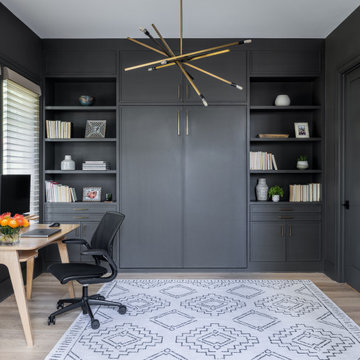 North Arlington Organic Modern Custom Home