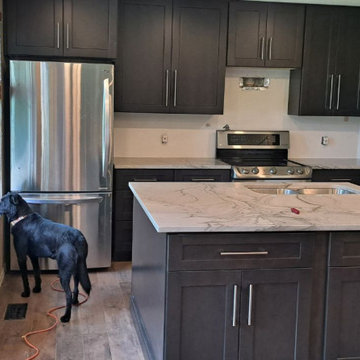 Castle Rock 23-Day Kitchen Remodel
