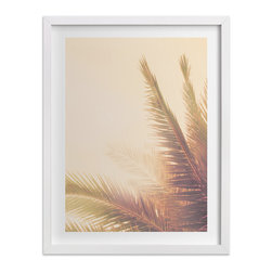 Golden Palm Tree by Wilder California - Fine Art Prints