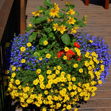 Annual planters
