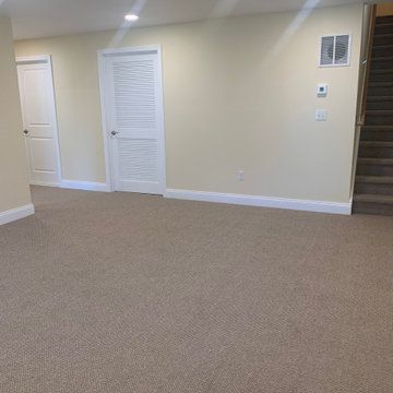 Basement Project
