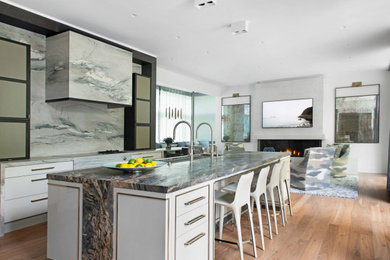 Kitchen - contemporary kitchen idea in Chicago