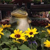 Tracy Mcnally's photo