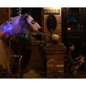 Ann Chou's photo