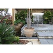 Foto von House Garden