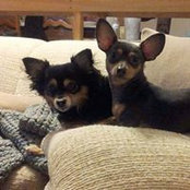Gail O'Brien's photo