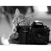 Алена Бетина's photo