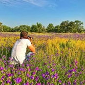 Pierre Baron's photo