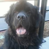 Tina Cruz's photo