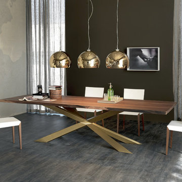 Spyder Wood Dining Table by Cattelan Italia