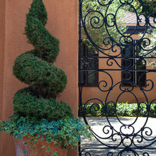 Patio Ideas