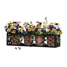 Window Box