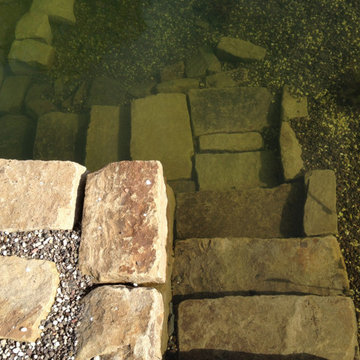 Naturschwimmteich fürs Familienglück in Langenberg