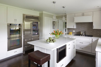 Kitchen - transitional kitchen idea in Chicago