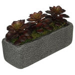 House of Silk Flowers, Inc. - Artificial Burgundy Echeveria Garden in Black Sandy-Texture Rectangle - You will never have to worry about caring for your succulents again with this artificial echeveria garden handcrafted by House of Silk Flowers. This arrangement features a grouping of artificial echeveria "potted" in a sandy-texture ceramic vase measuring 11" wide x 4" deep x 4.25" tall. The echeveria have been arranged for 360*-viewing. The overall dimensions are measured leaf tip to leaf tip, from the bottom of the planter to the tallest leaf tip: 11" wide X 4" deep X 7" tall. Measurements are approximate, and will be determined by your final shaping of the plant upon unpacking it. No arranging is necessary, only minor shaping, with the way in which we package and ship our products. This product is only recommended for indoor use.