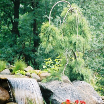 A Peaceful Retreat