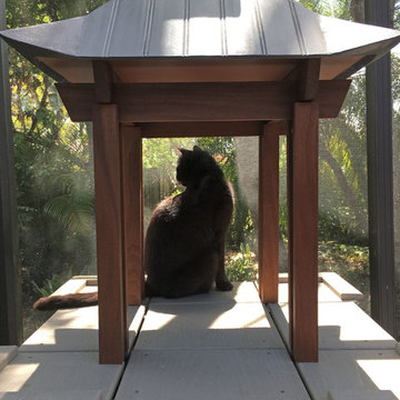 Florida Catio renovation