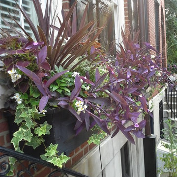 Flowerboxes throughout Philadelphia