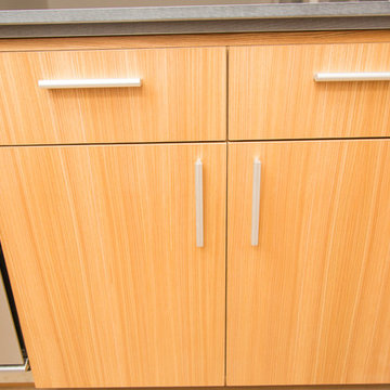 Sleek Kitchen