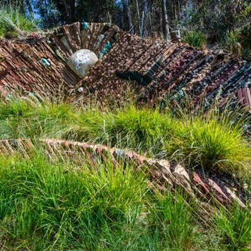Fusing Art and Ecology