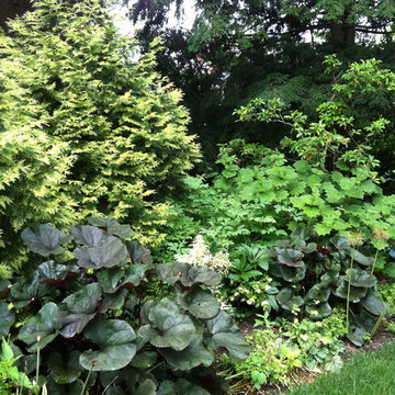 Brookline Borders