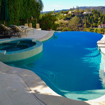 Infinity Freeform Pool and Spa