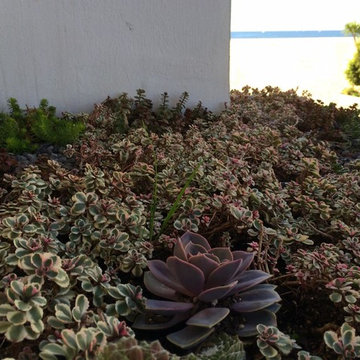 Ocean Front Walk, Marina del Rey