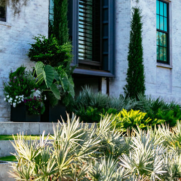 Captain's Island Contemporary