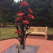 Jacqueline Mabbutt's photo