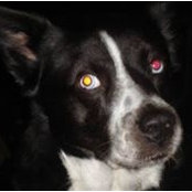 Matthew Raley's photo