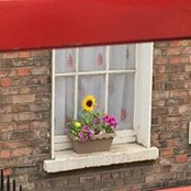 Susan Fox's photo