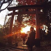 Diana Soh's photo