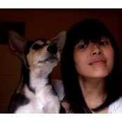 Cecil Mariani's photo