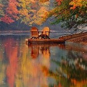 Steve Robertson's photo