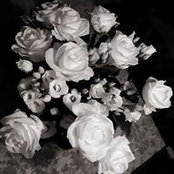 Jeshyeen Pedersen's photo