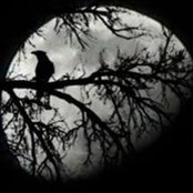 Leslie Utting's photo