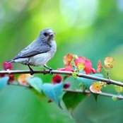 Laura Bogdan's photo