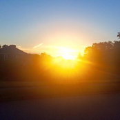 JoAnne Lavin's photo